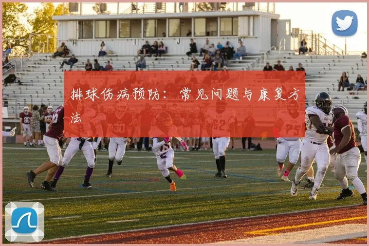 排球伤病预防:常见问题与康复方法